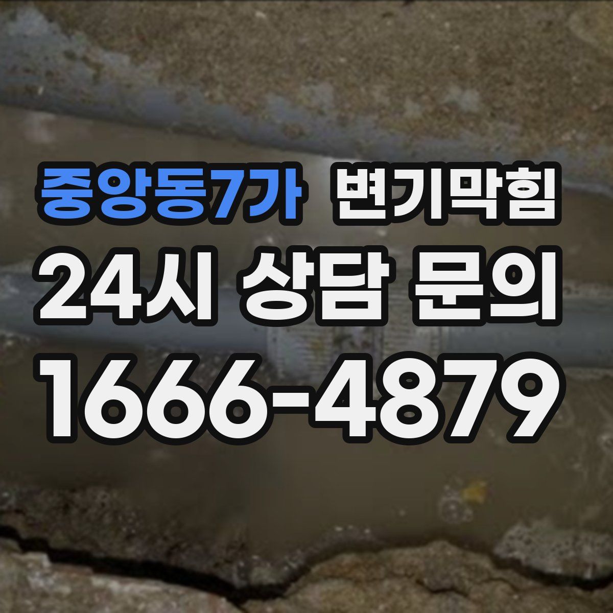 중앙동7가 변기막힘