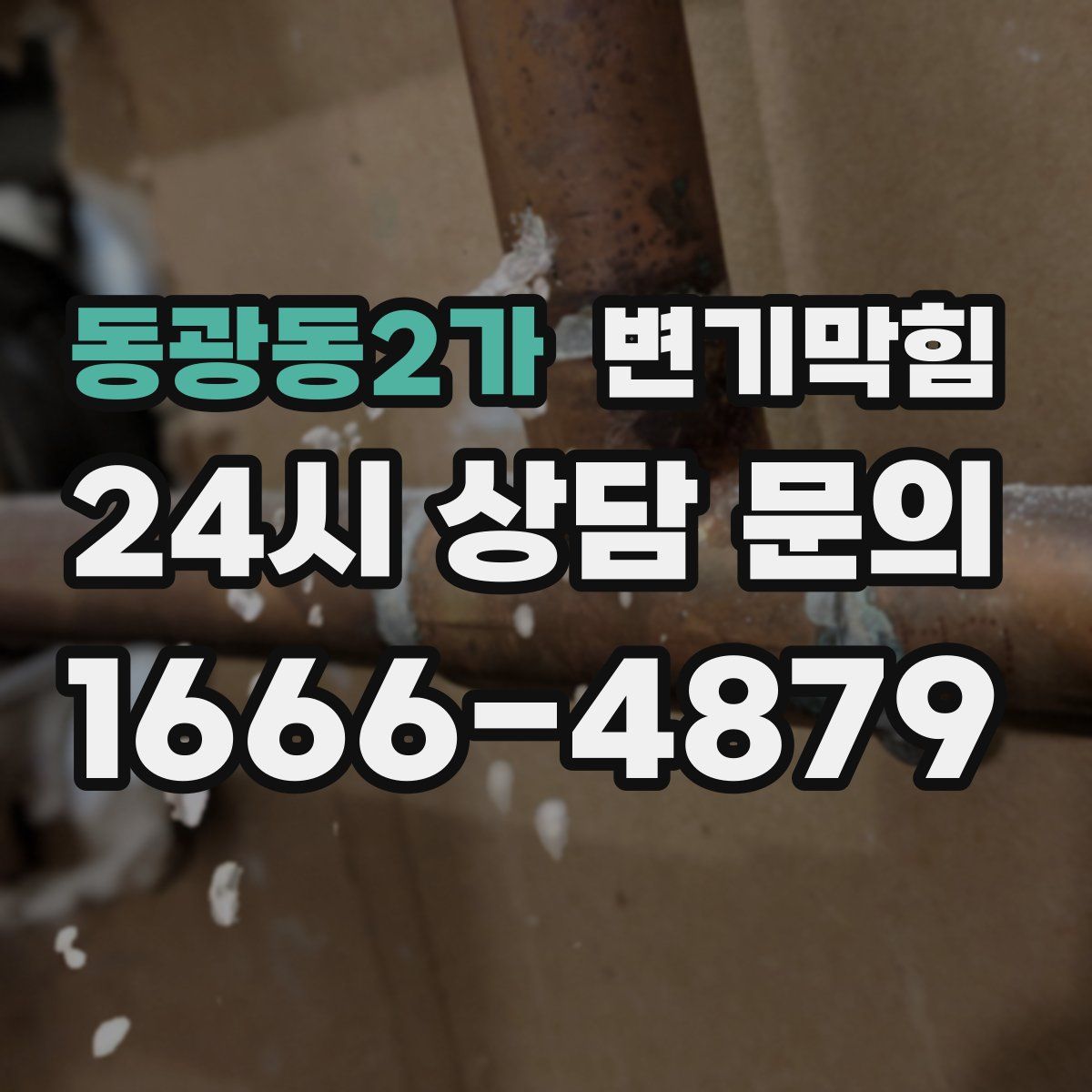 동광동2가 변기막힘