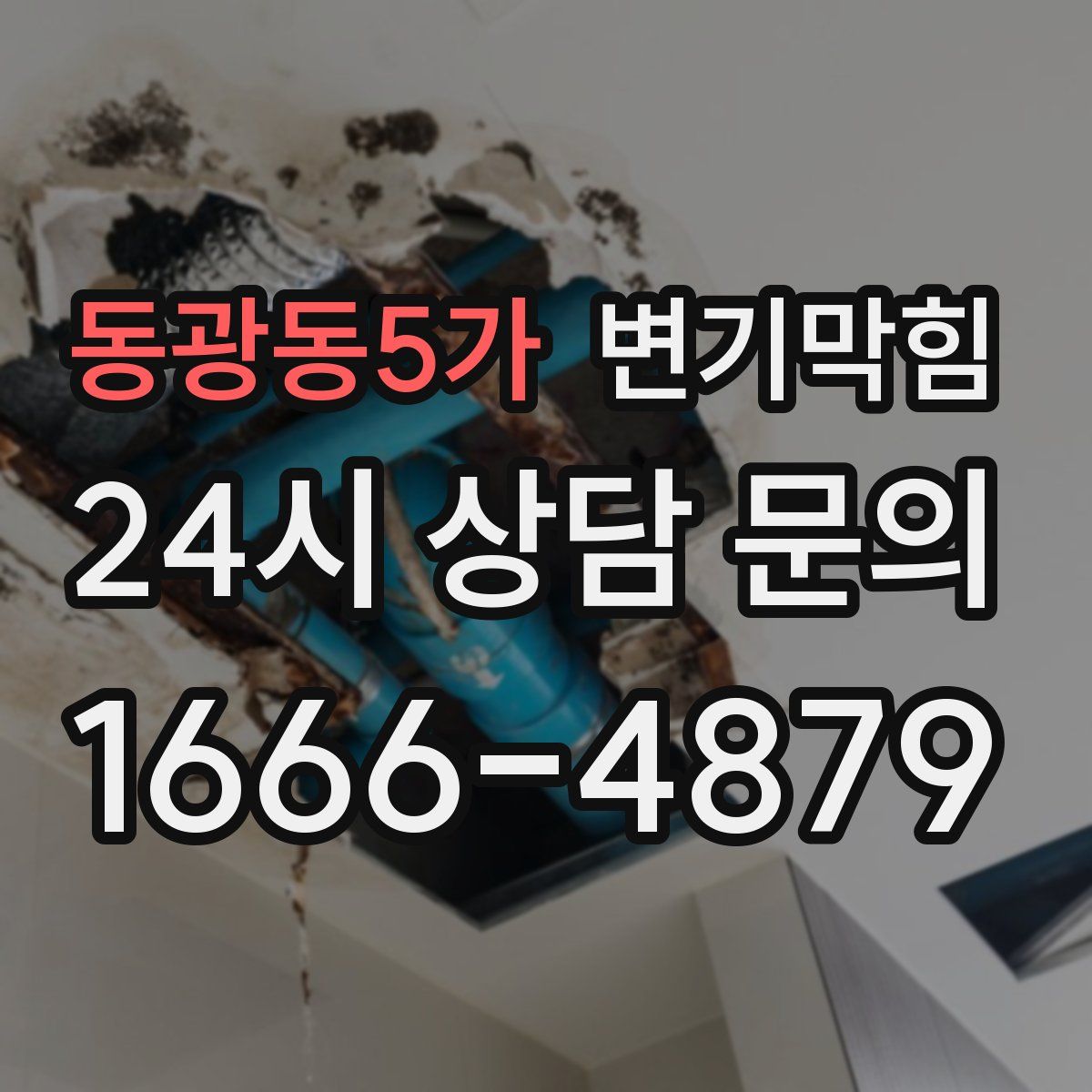 동광동5가 변기막힘