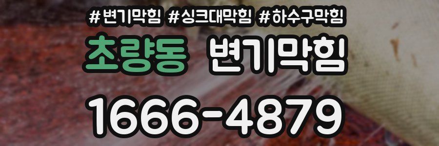 변기막힘