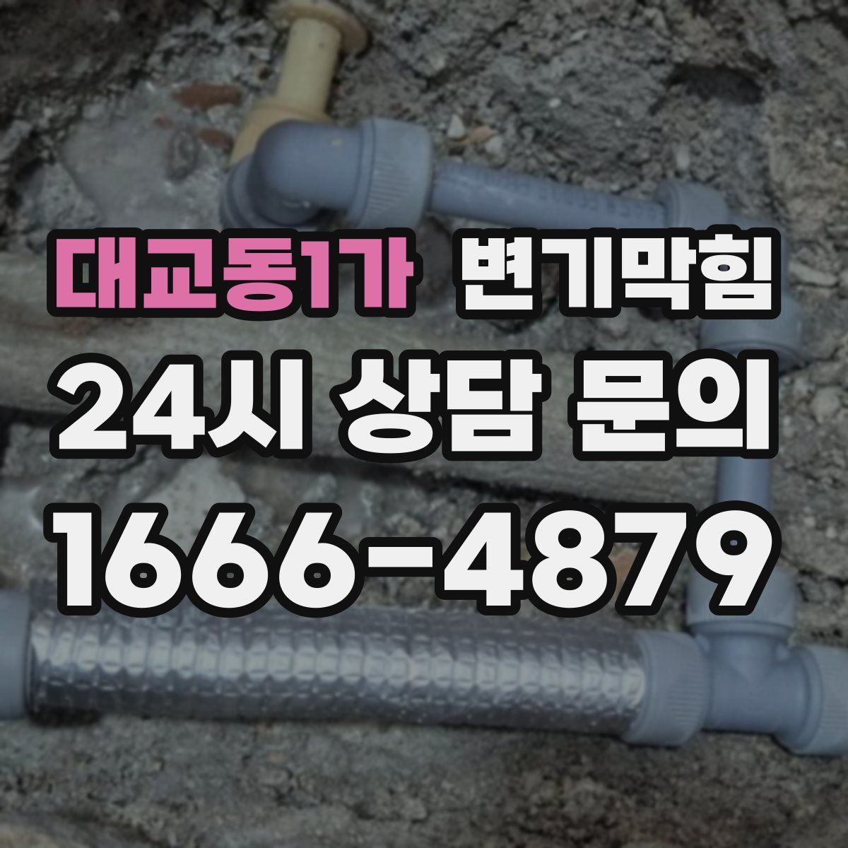 대교동1가 변기막힘