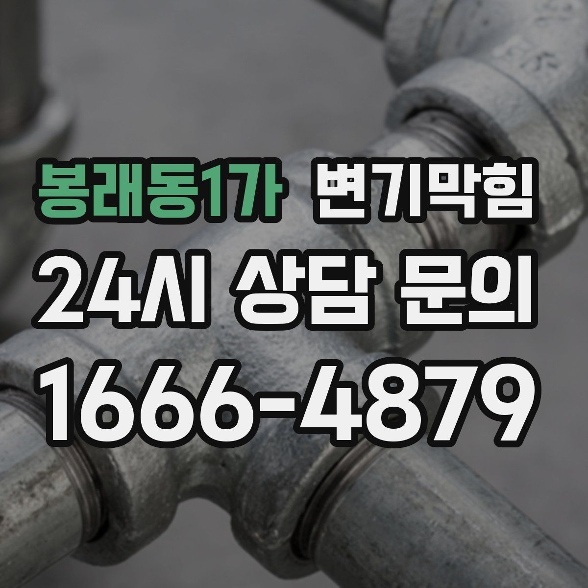 봉래동1가 변기막힘