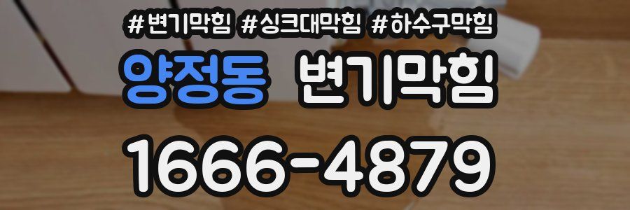 변기막힘