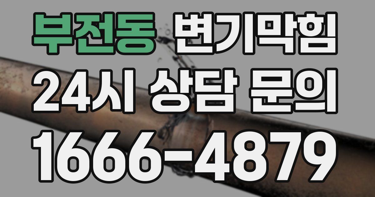 부전동 변기
