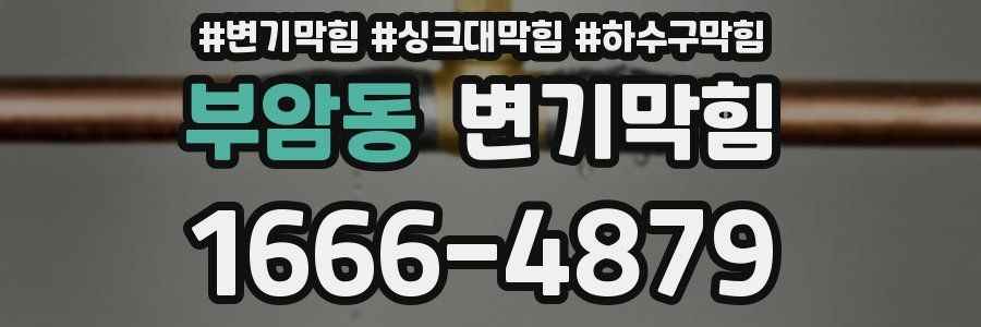 변기막힘