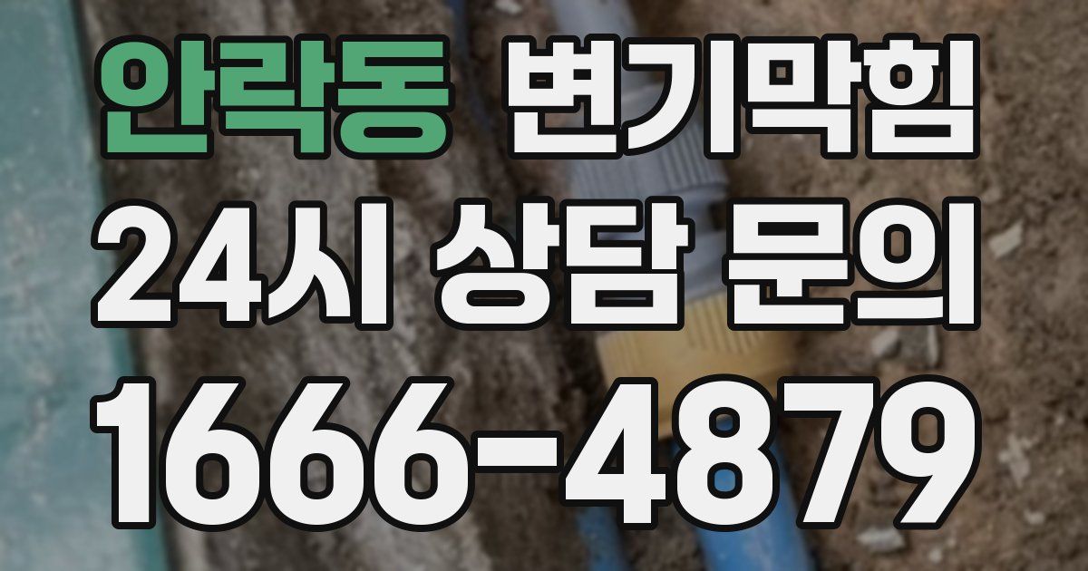 안락동 변기