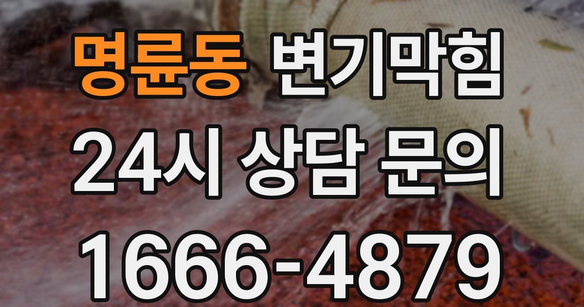 명륜동 변기