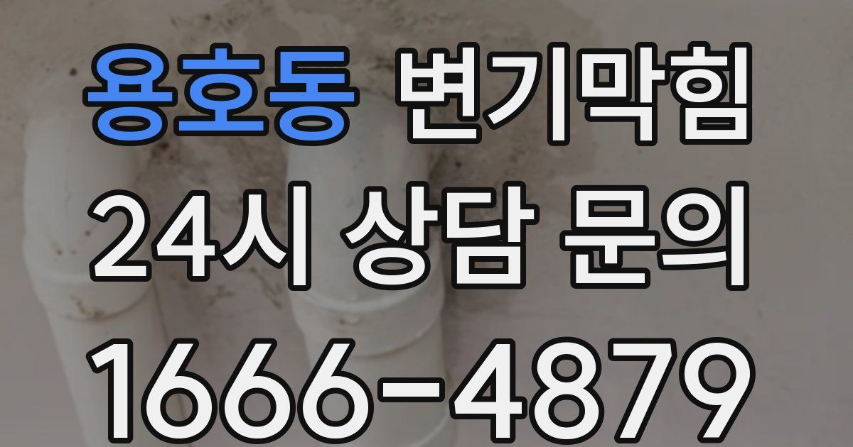 용호동 변기