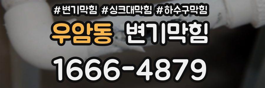 변기막힘