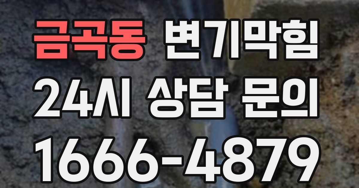 금곡동 변기