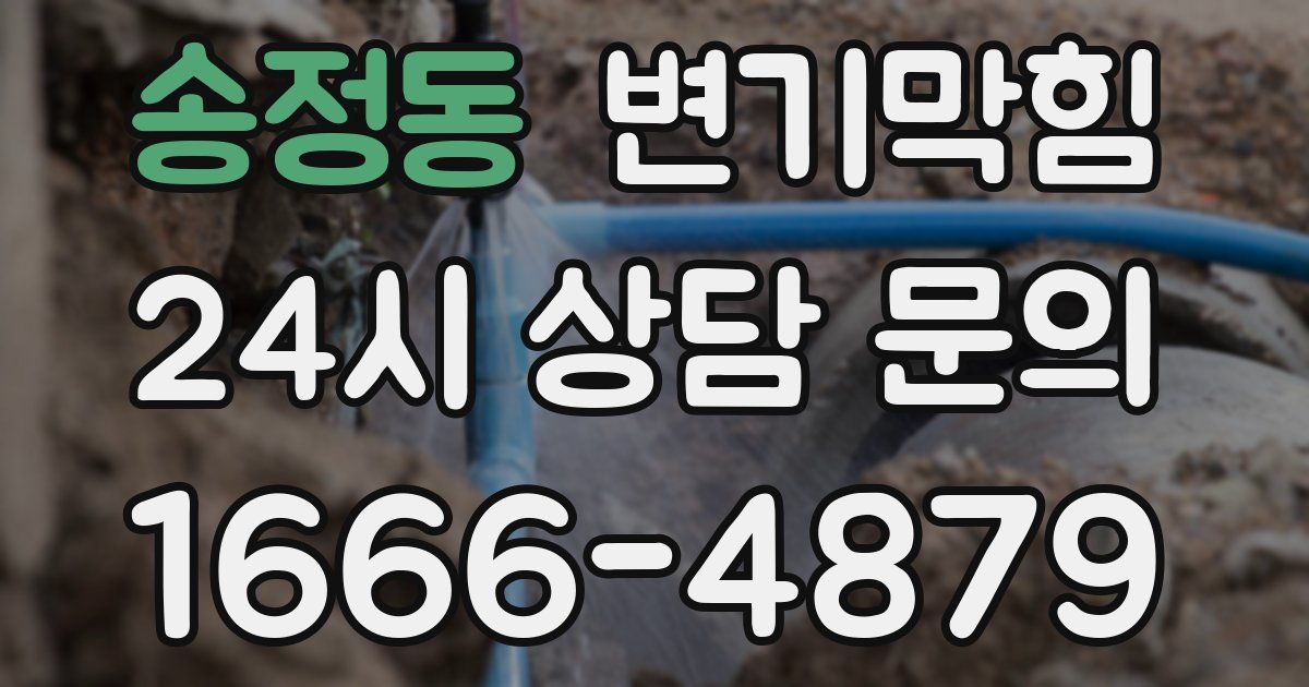 송정동 변기