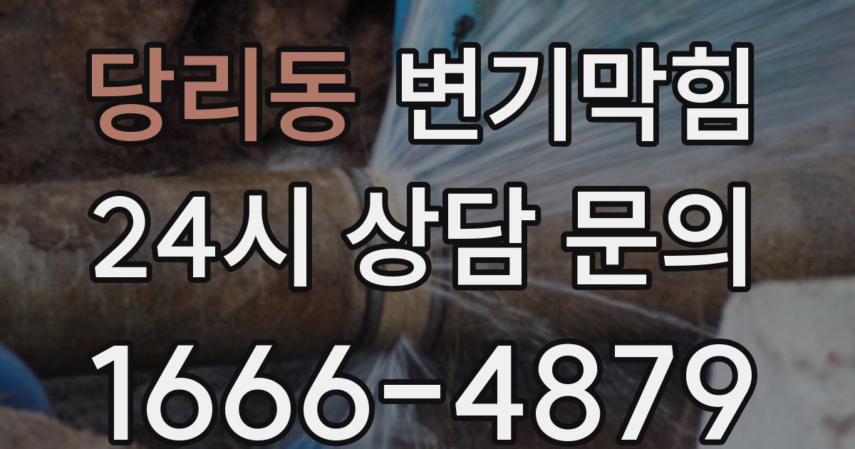 당리동 변기