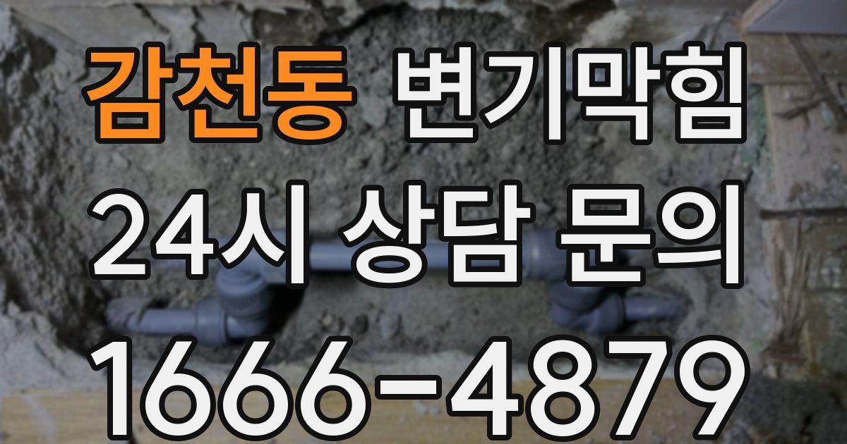 감천동 변기