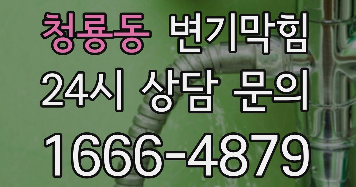 청룡동 변기
