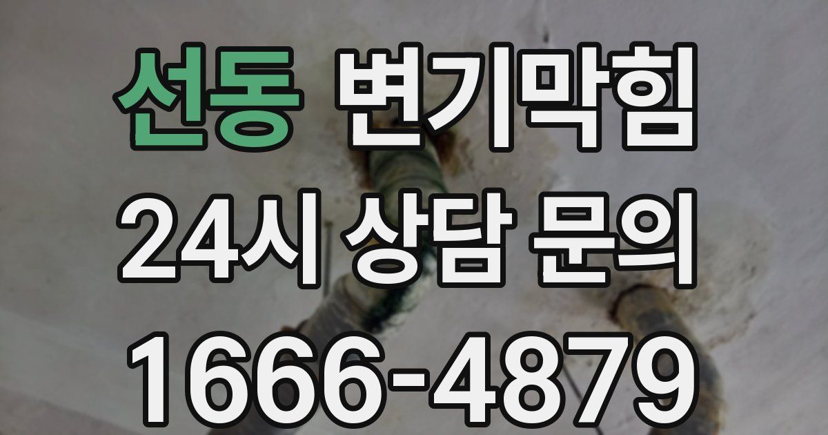 선동 변기