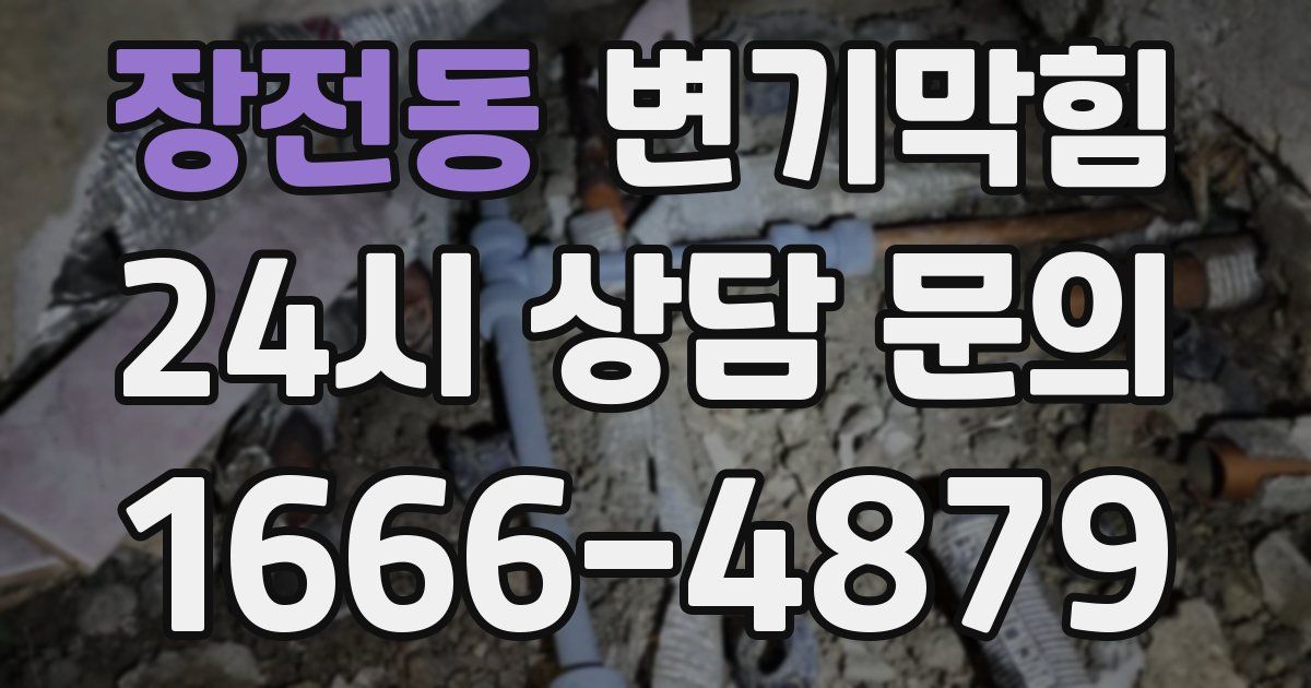 장전동 변기