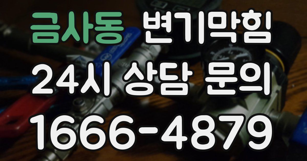 금사동 변기
