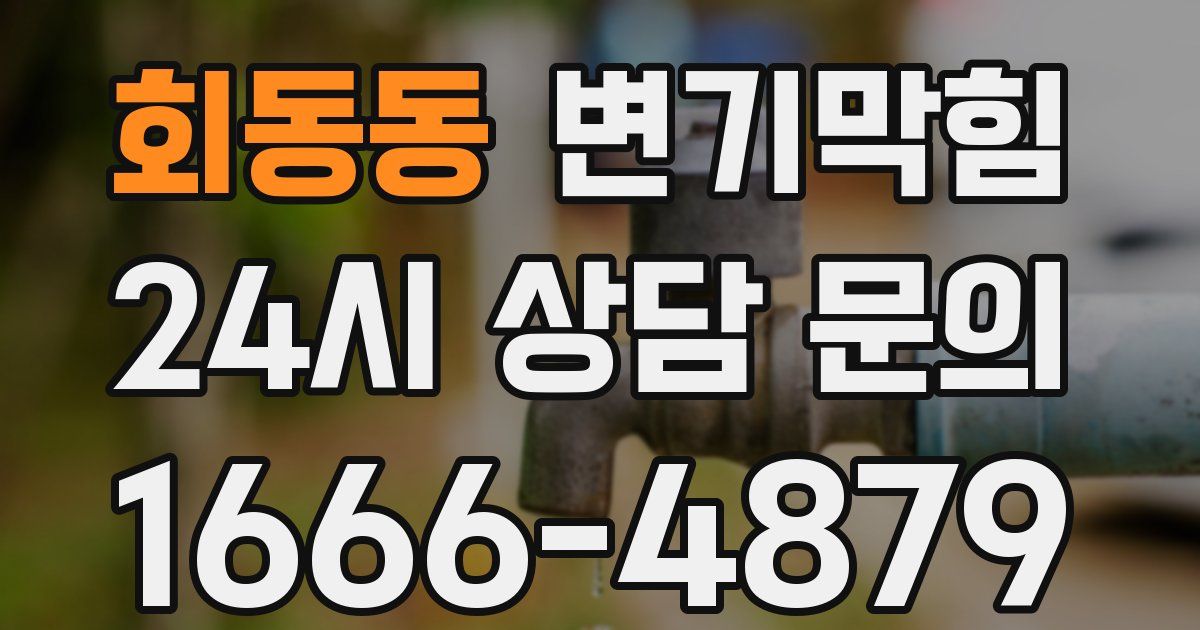 회동동 변기