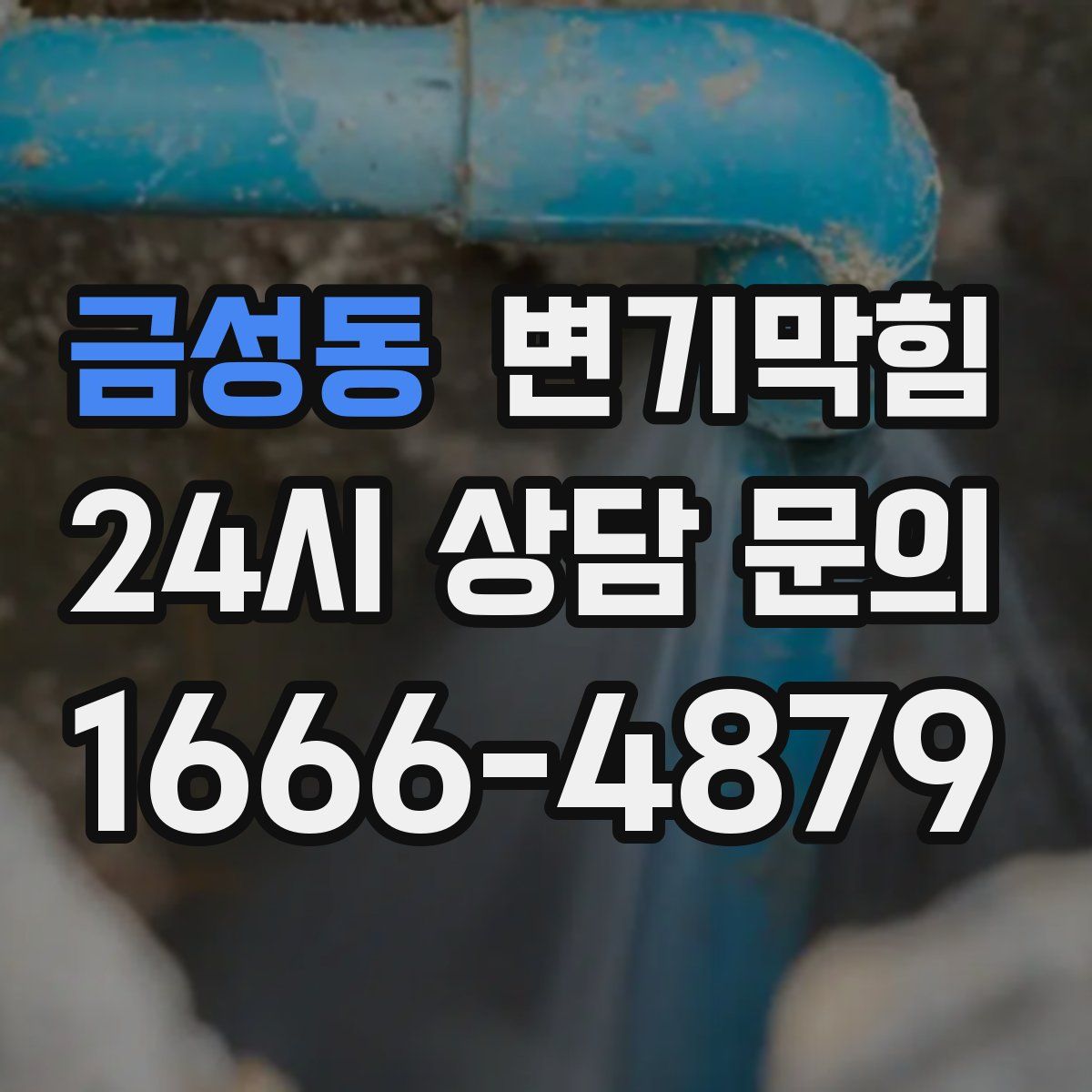 금성동 변기막힘