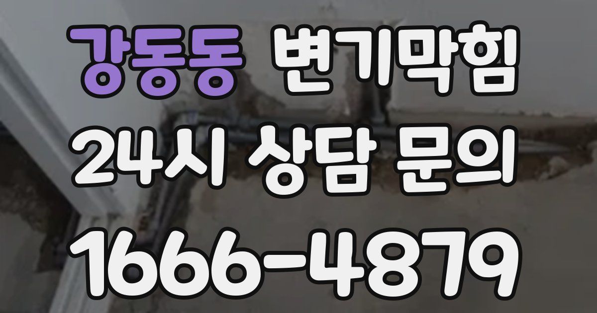 강동동 변기