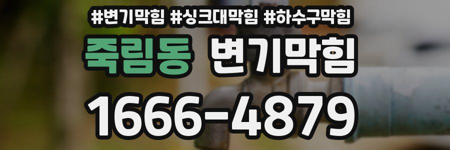 변기막힘