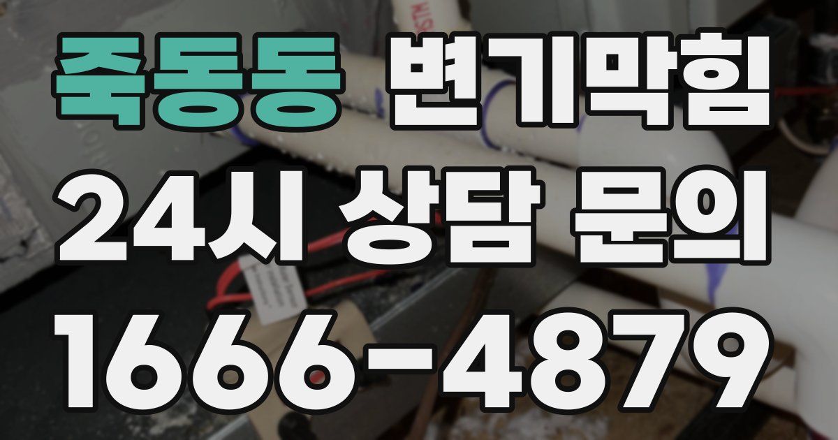 죽동동 변기