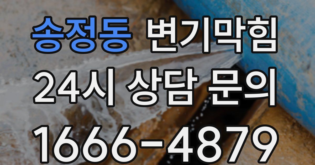 송정동 변기