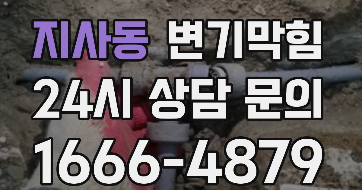 지사동 변기