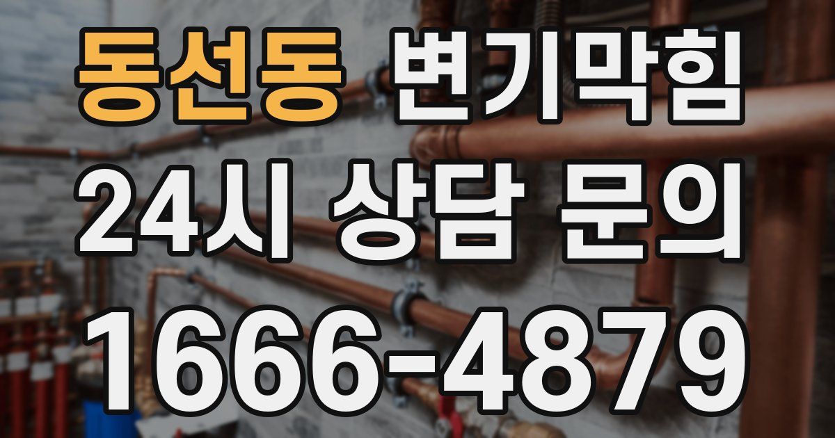 동선동 변기