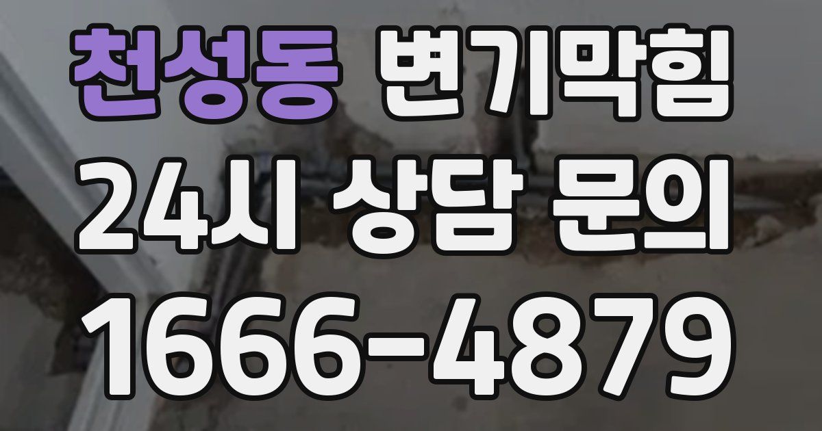 천성동 변기