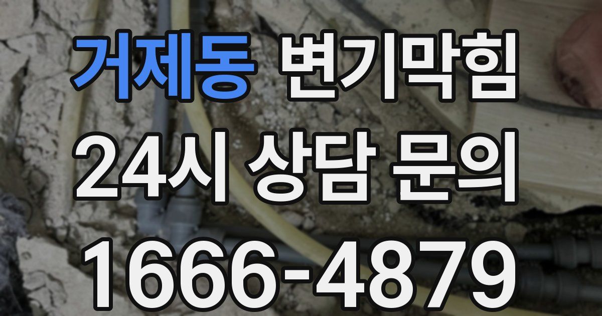 거제동 변기