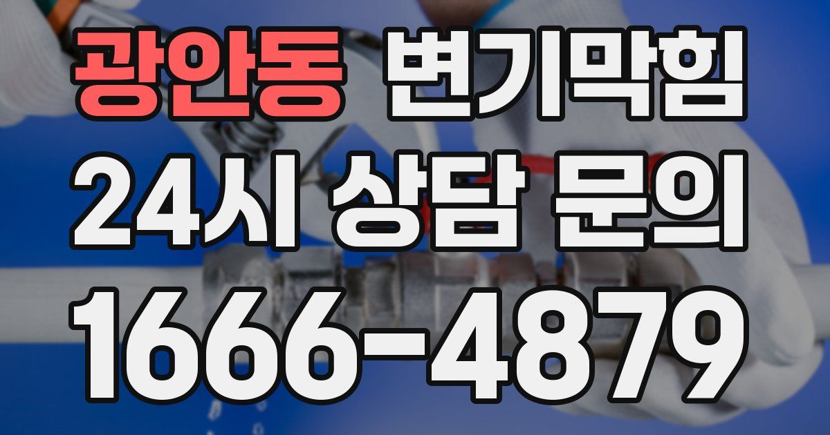 광안동 변기