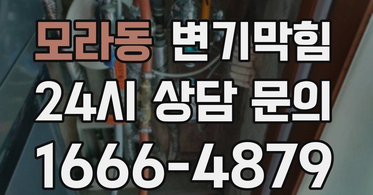 모라동 변기