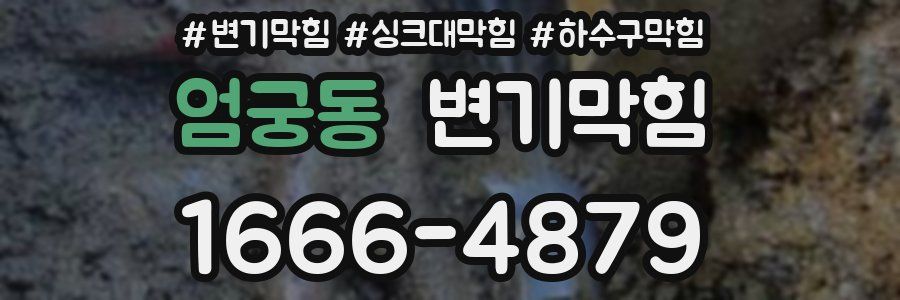 변기막힘