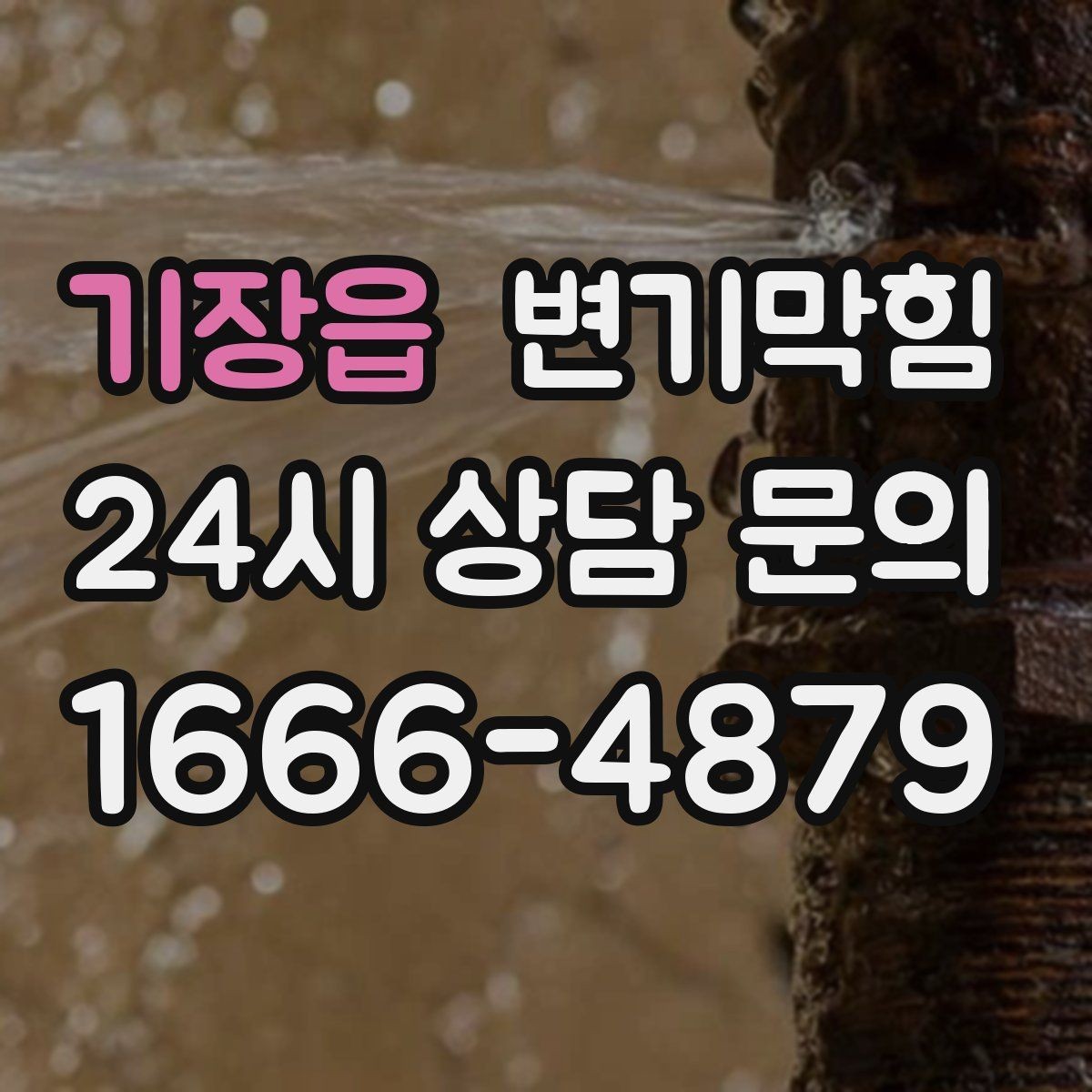 기장읍 변기막힘 변기물이안찰때 배수 각도 의심하기