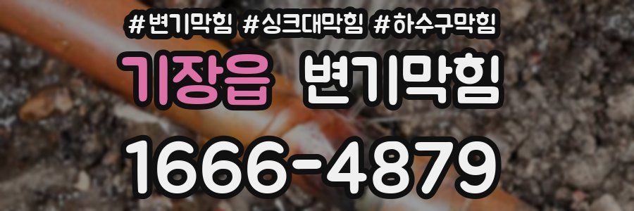 변기막힘