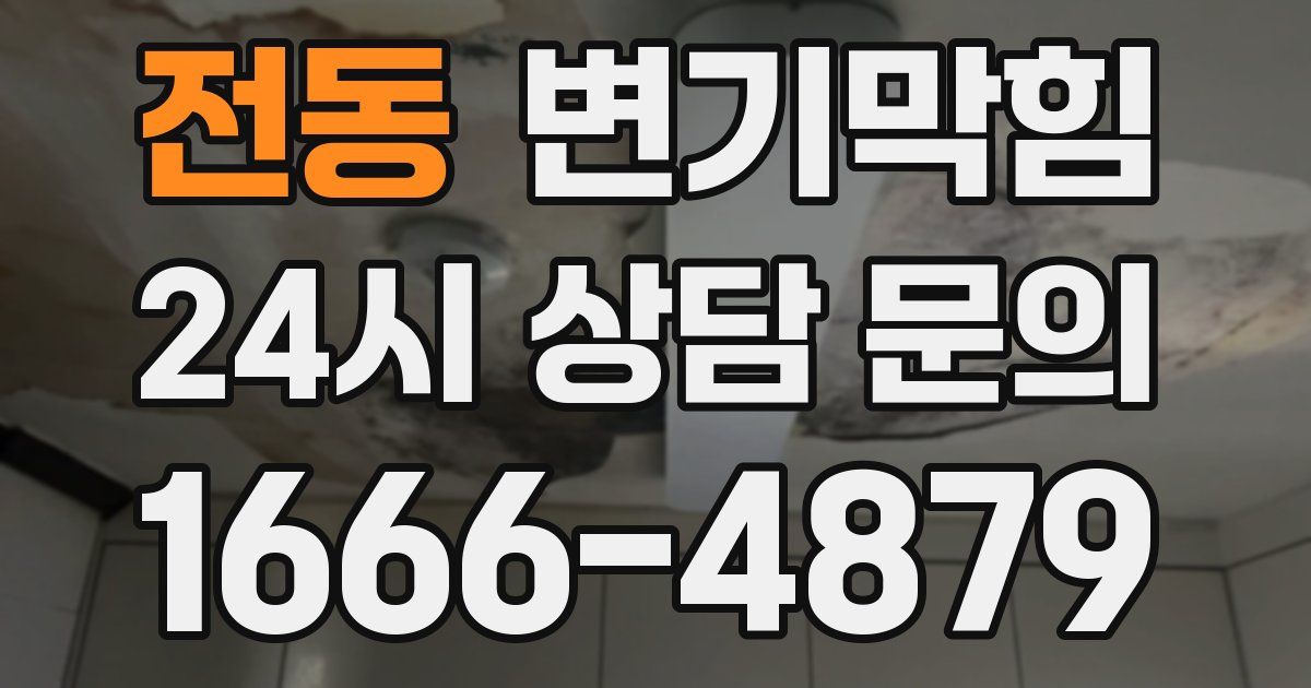 전동 변기