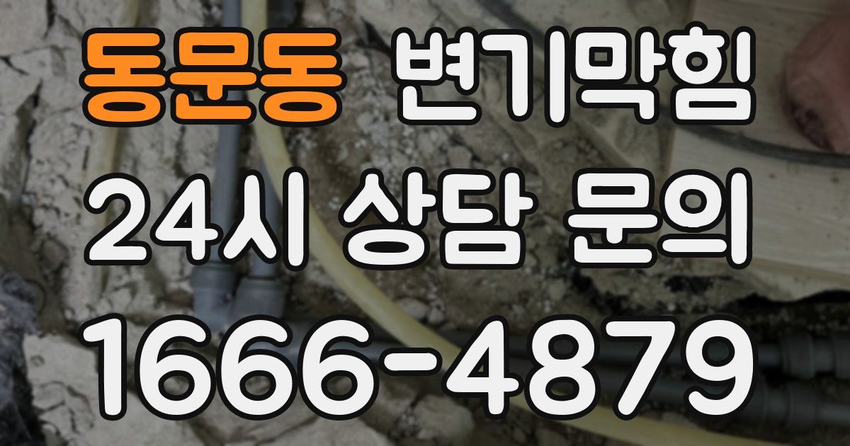동문동 변기