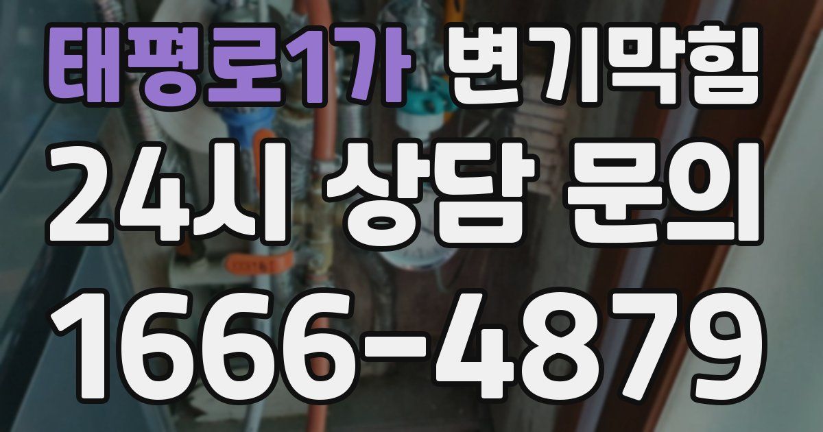 태평로1가 변기