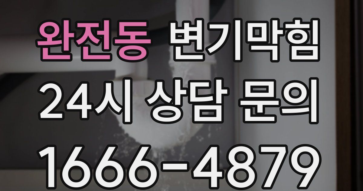완전동 변기