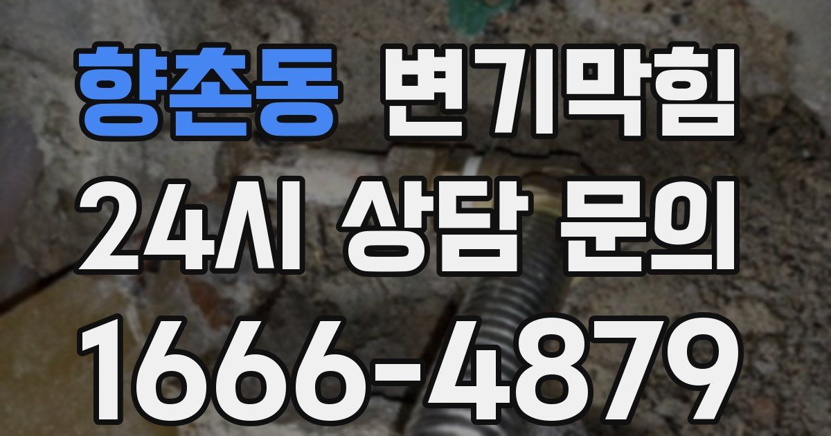 향촌동 변기