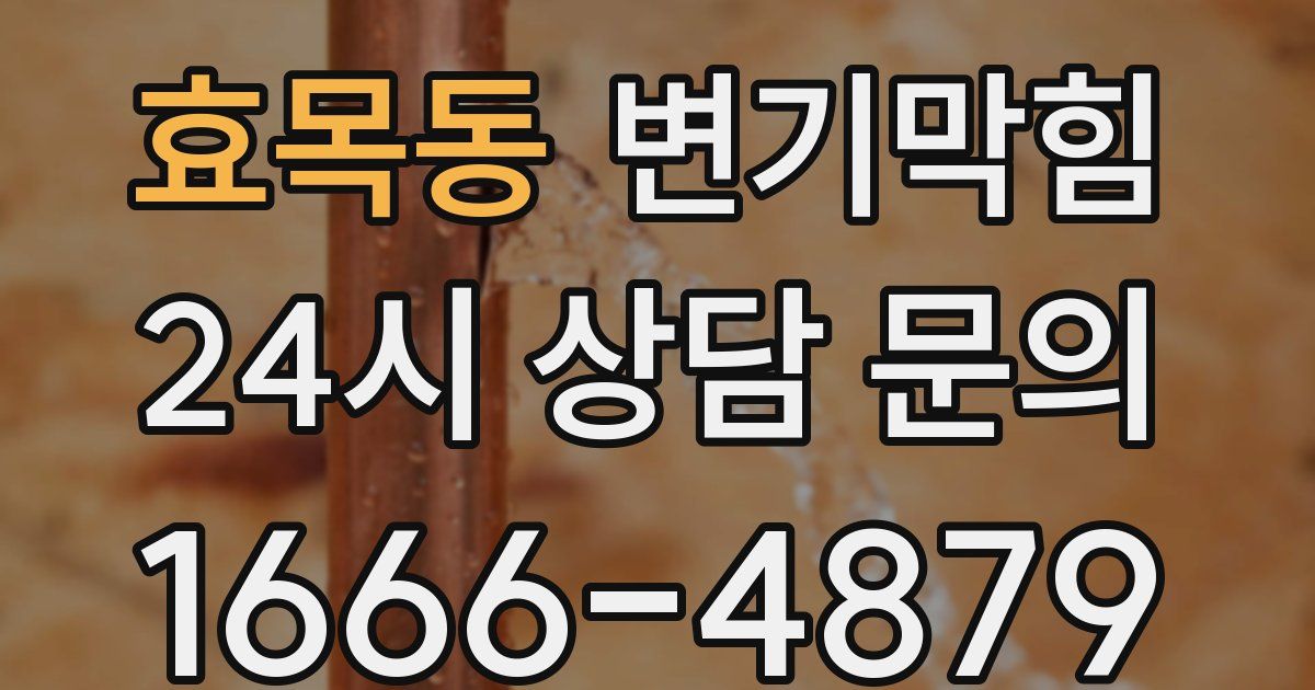 효목동 변기