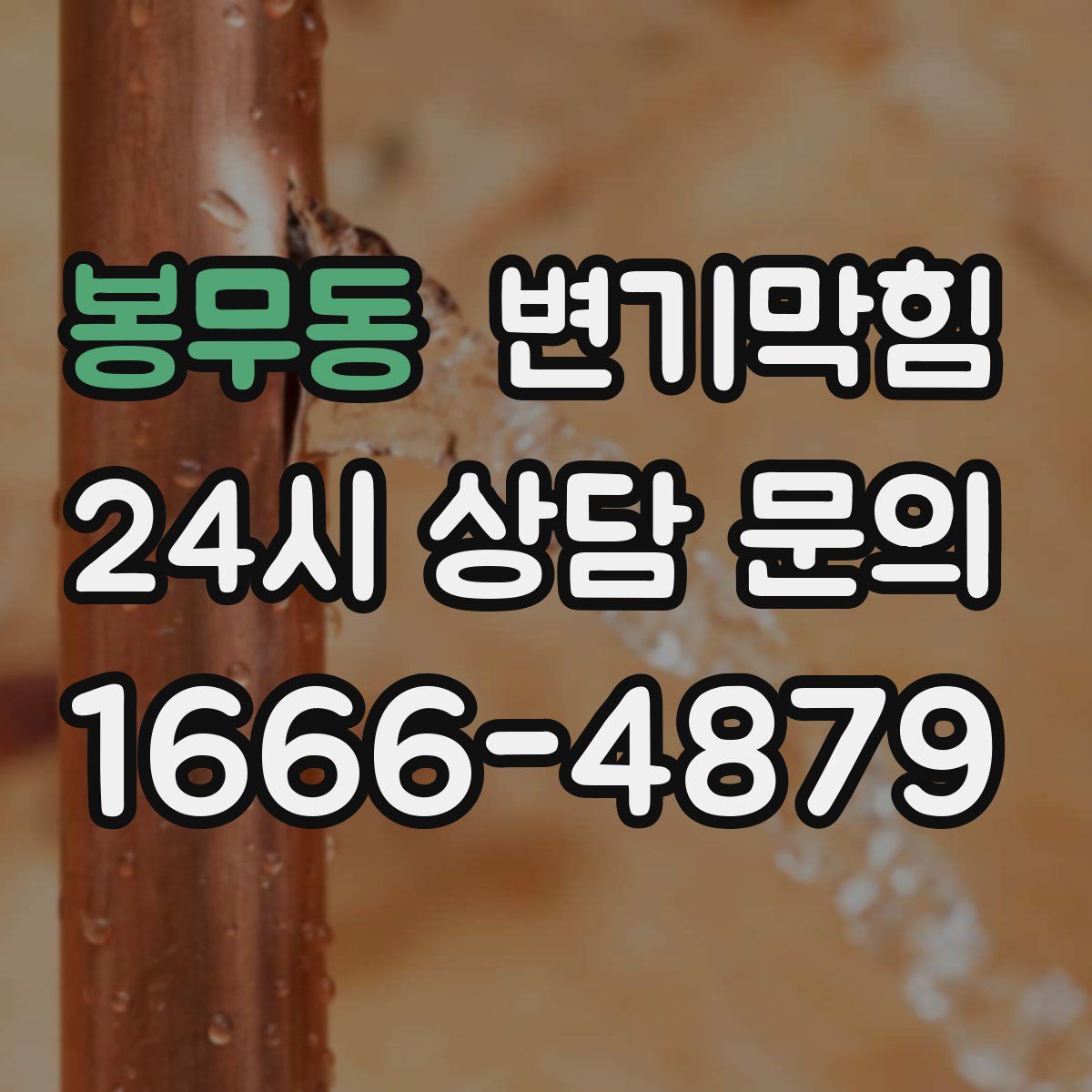봉무동 변기막힘