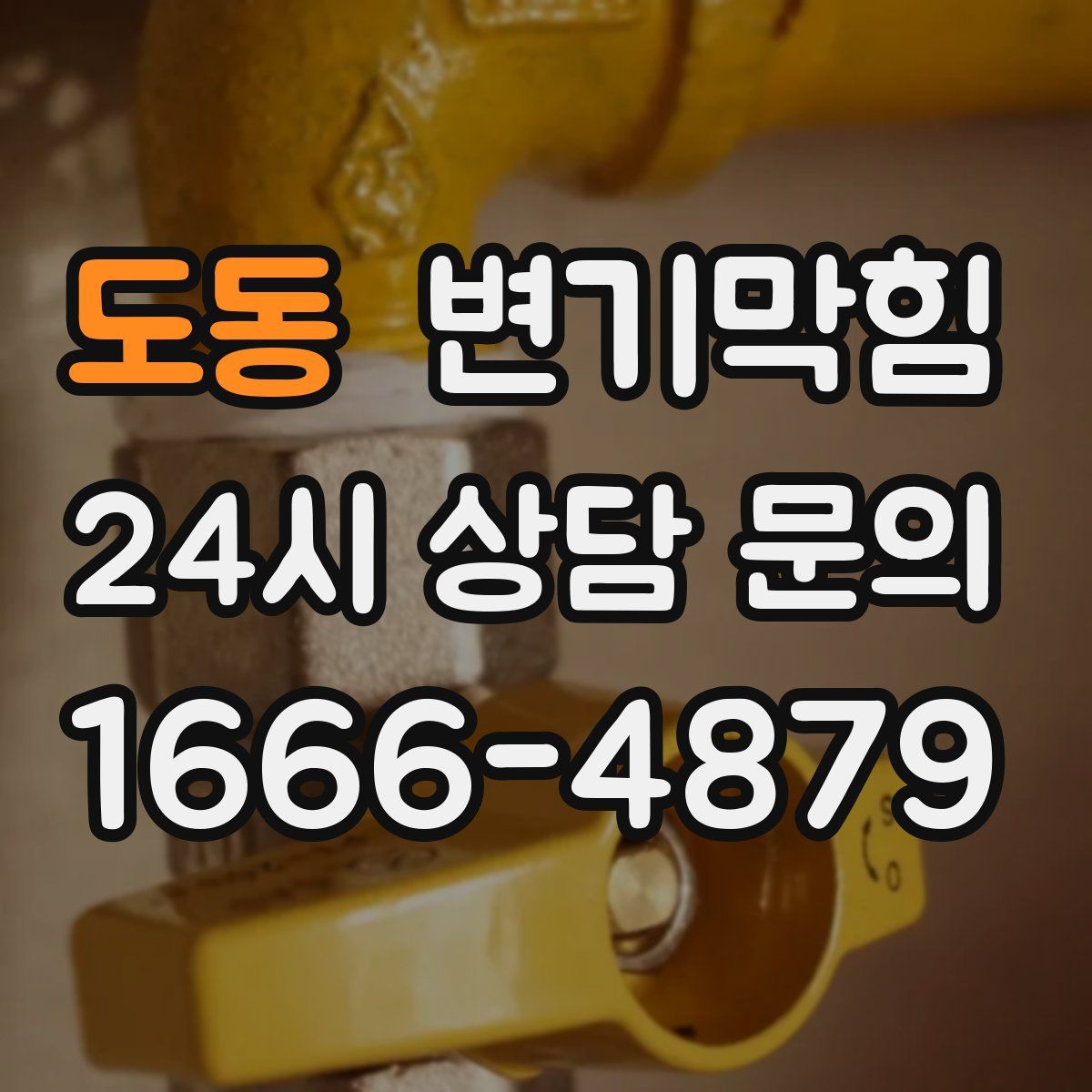 도동 변기막힘