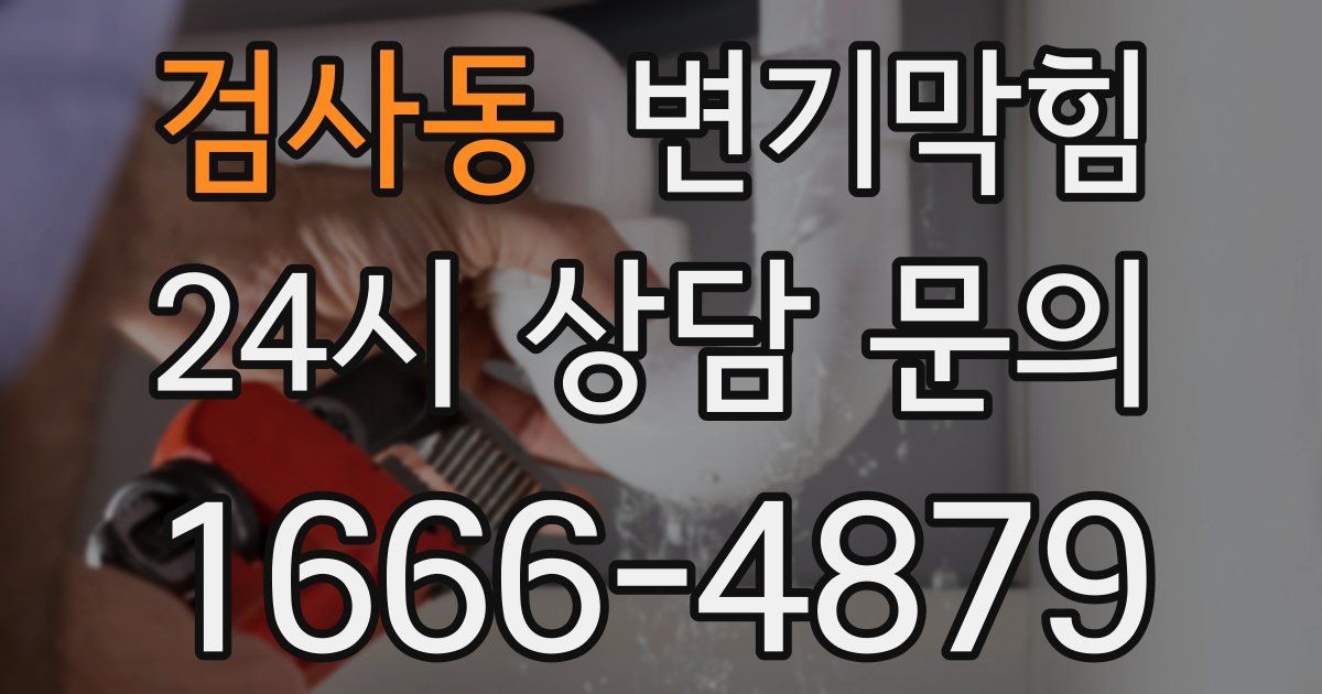 검사동 변기