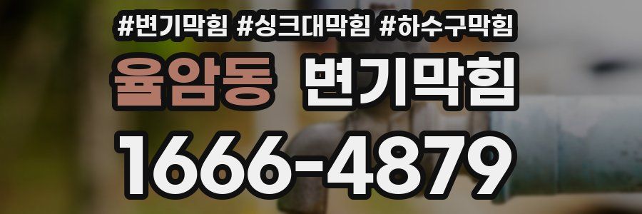 변기막힘
