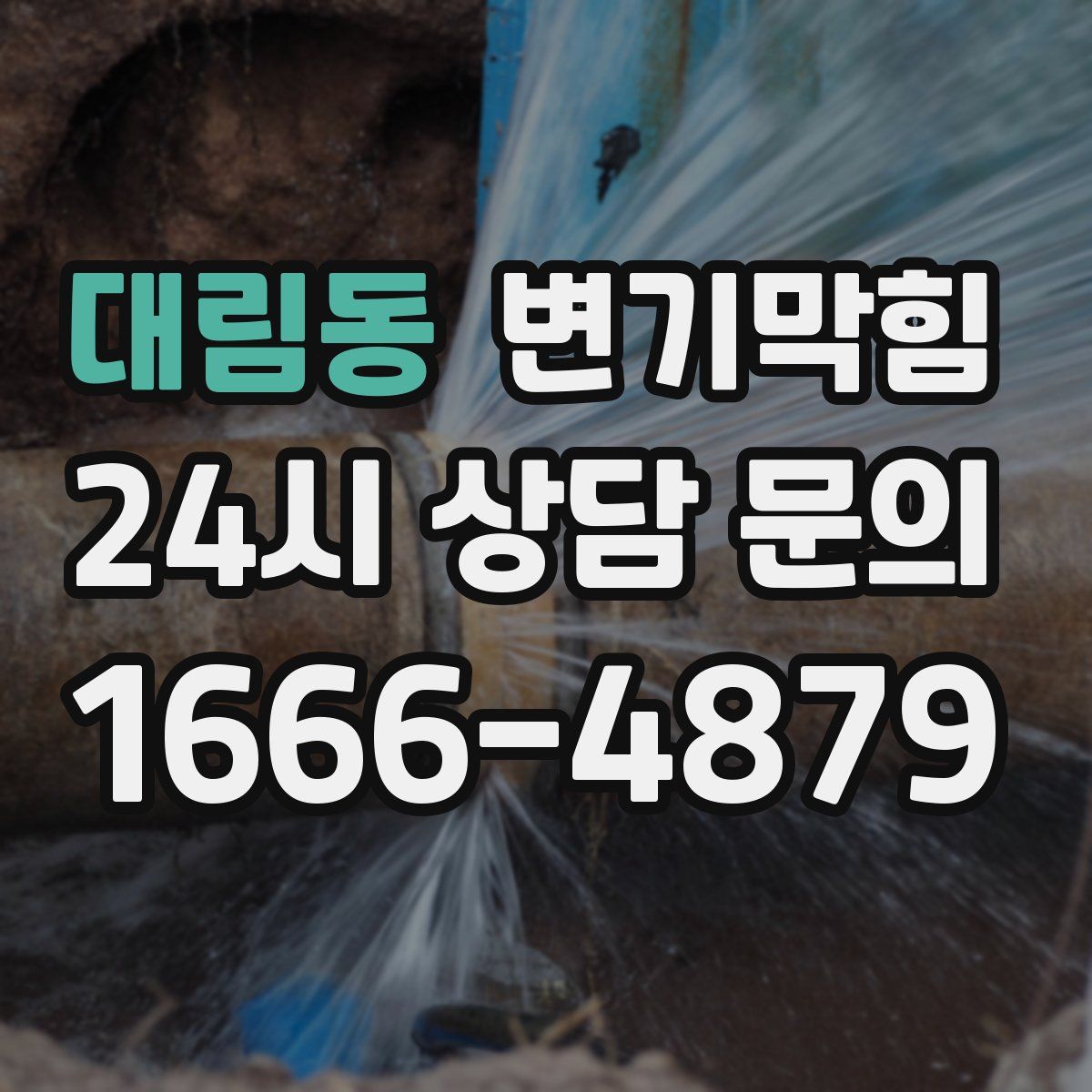 대림동 변기막힘