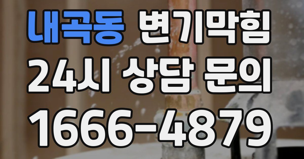 내곡동 변기