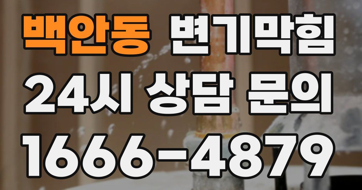 백안동 변기