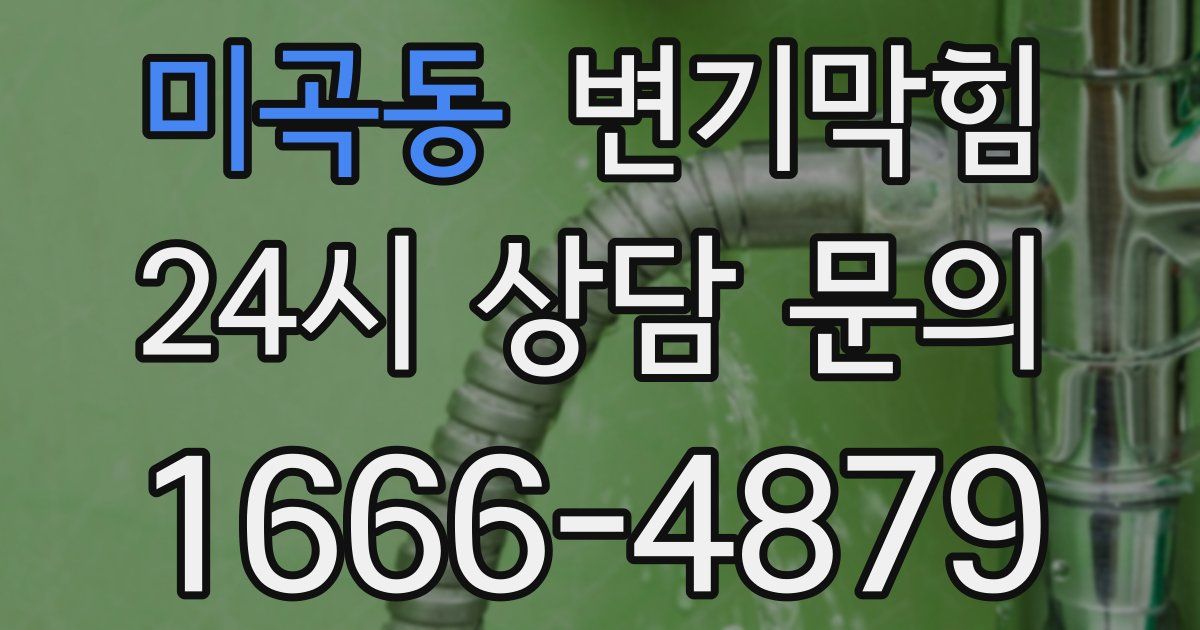미곡동 변기